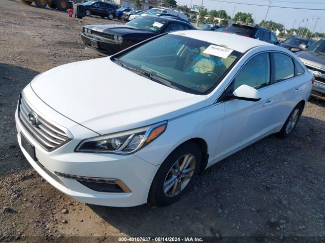 Photo 1 VIN: 5NPE24AF0FH231518 - HYUNDAI SONATA 