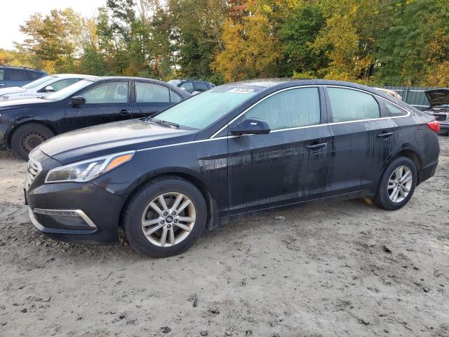 Photo 0 VIN: 5NPE24AF0FH245788 - HYUNDAI SONATA SE 