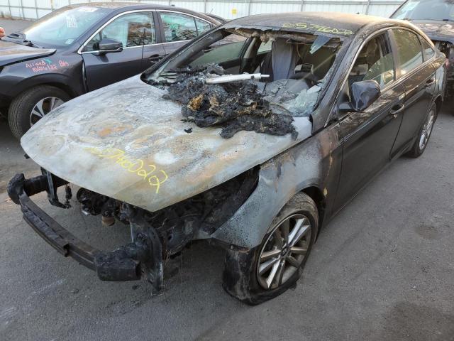 Photo 1 VIN: 5NPE24AF0FH245791 - HYUNDAI SONATA SE 