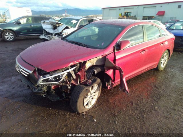 Photo 1 VIN: 5NPE24AF0GH261345 - HYUNDAI SONATA 