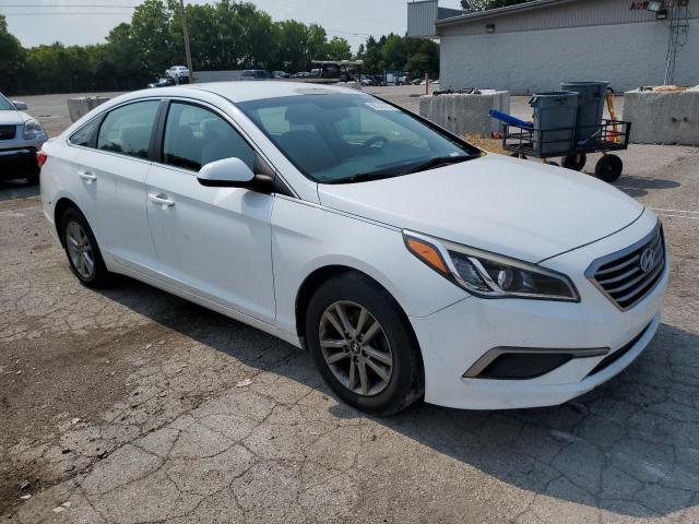 Photo 3 VIN: 5NPE24AF0GH272183 - HYUNDAI SONATA SE 