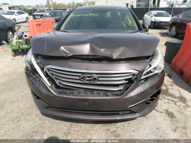 Photo 5 VIN: 5NPE24AF0GH301178 - HYUNDAI SONATA 