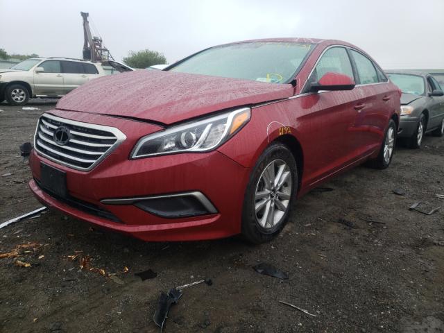 Photo 1 VIN: 5NPE24AF0GH301925 - HYUNDAI SONATA SE 