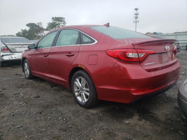 Photo 2 VIN: 5NPE24AF0GH301925 - HYUNDAI SONATA SE 