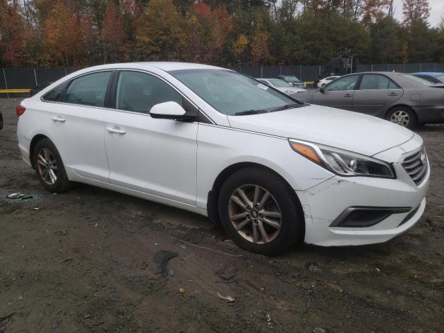 Photo 3 VIN: 5NPE24AF0GH302198 - HYUNDAI SONATA 