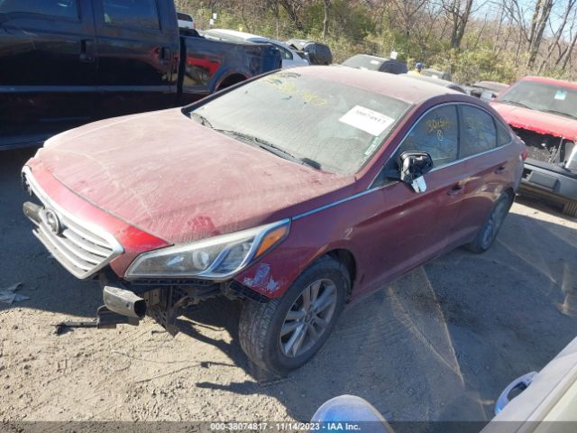 Photo 1 VIN: 5NPE24AF0GH304565 - HYUNDAI SONATA 