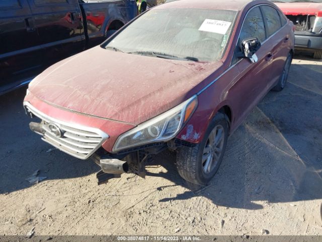 Photo 5 VIN: 5NPE24AF0GH304565 - HYUNDAI SONATA 