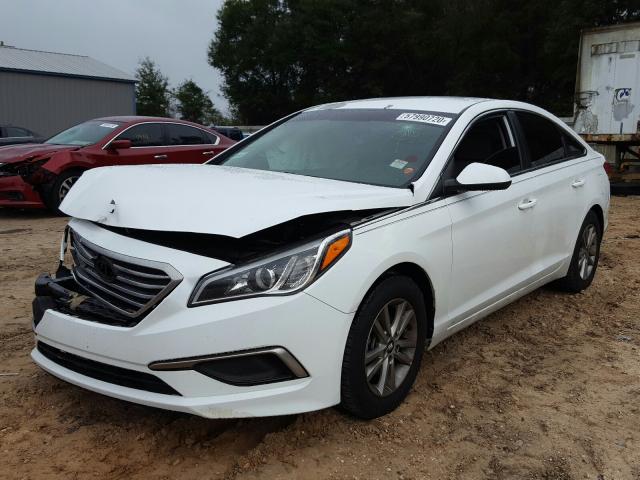 Photo 1 VIN: 5NPE24AF0GH327554 - HYUNDAI SONATA SE 