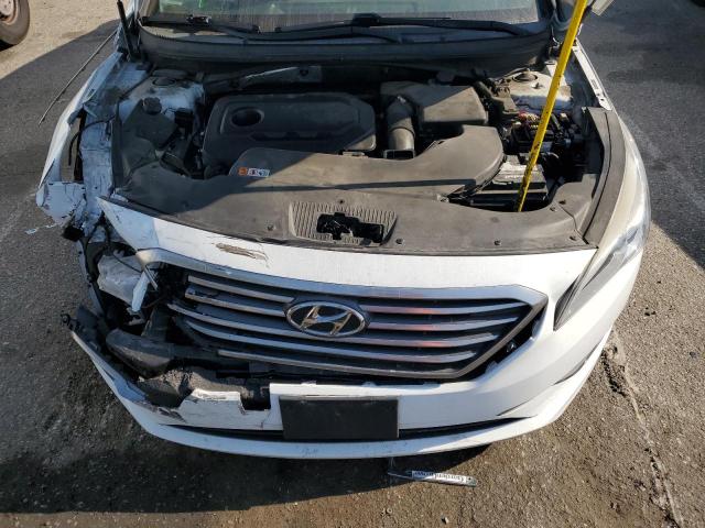 Photo 10 VIN: 5NPE24AF0GH345861 - HYUNDAI SONATA 