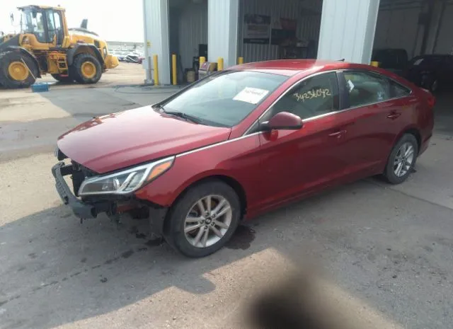 Photo 1 VIN: 5NPE24AF0GH361915 - HYUNDAI SONATA 