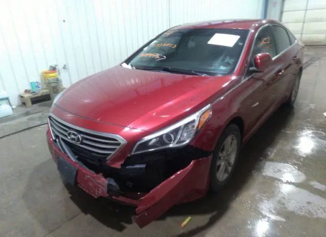 Photo 5 VIN: 5NPE24AF0GH387463 - HYUNDAI SONATA 