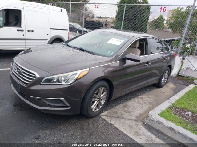 Photo 1 VIN: 5NPE24AF0GH393313 - HYUNDAI SONATA 