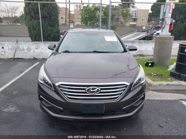 Photo 5 VIN: 5NPE24AF0GH393313 - HYUNDAI SONATA 