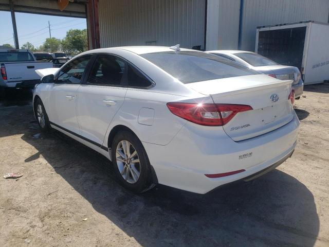 Photo 2 VIN: 5NPE24AF0GH400454 - HYUNDAI SONATA SE 