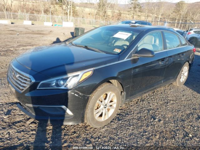 Photo 1 VIN: 5NPE24AF0GH407968 - HYUNDAI SONATA 