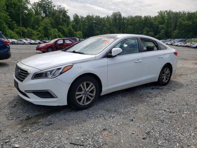 Photo 0 VIN: 5NPE24AF0GH411535 - HYUNDAI SONATA SE 