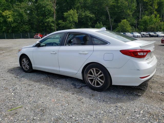 Photo 1 VIN: 5NPE24AF0GH411535 - HYUNDAI SONATA SE 