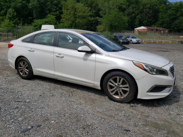 Photo 3 VIN: 5NPE24AF0GH411535 - HYUNDAI SONATA SE 