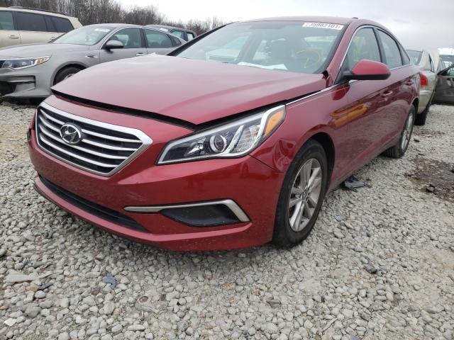 Photo 1 VIN: 5NPE24AF0GH435172 - HYUNDAI SONATA SE 