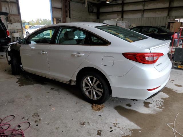 Photo 1 VIN: 5NPE24AF0HH440308 - HYUNDAI SONATA SE 