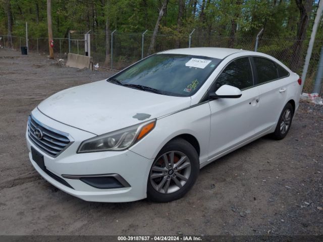 Photo 1 VIN: 5NPE24AF0HH442916 - HYUNDAI SONATA 