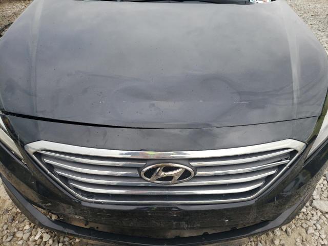 Photo 6 VIN: 5NPE24AF0HH446562 - HYUNDAI SONATA SE 