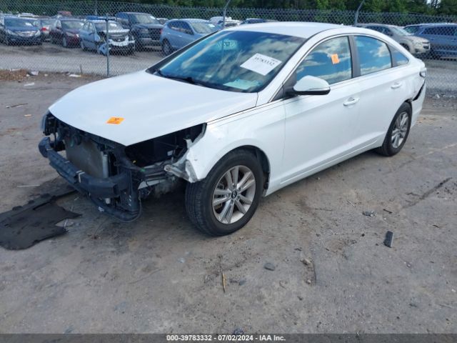 Photo 1 VIN: 5NPE24AF0HH456122 - HYUNDAI SONATA 