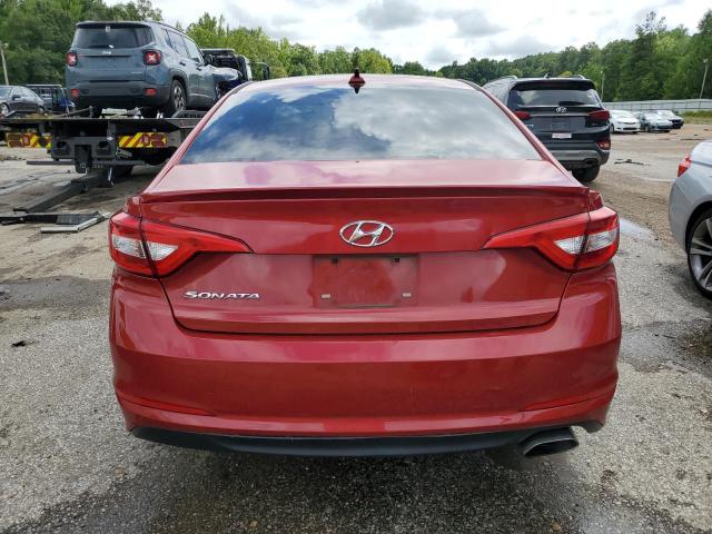 Photo 5 VIN: 5NPE24AF0HH465807 - HYUNDAI SONATA SE 