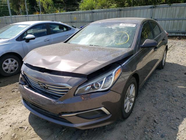 Photo 1 VIN: 5NPE24AF0HH480890 - HYUNDAI SONATA SE 