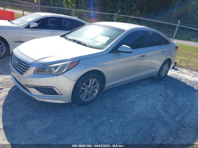 Photo 1 VIN: 5NPE24AF0HH491615 - HYUNDAI SONATA 