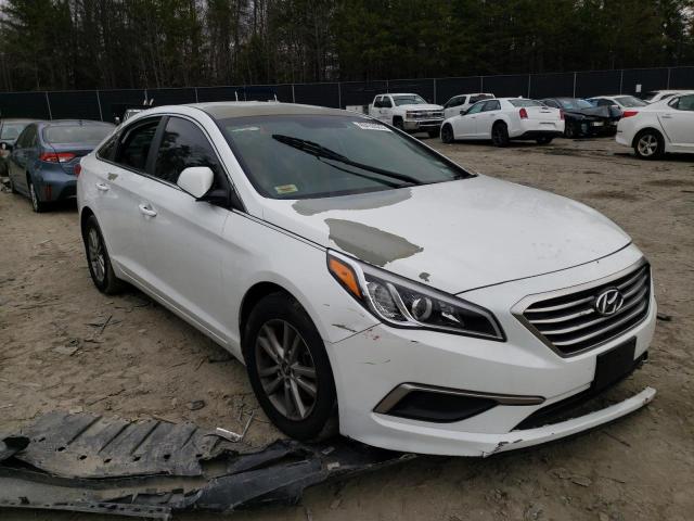 Photo 3 VIN: 5NPE24AF0HH493705 - HYUNDAI SONATA SE 