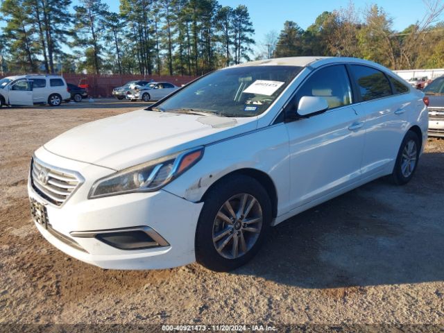 Photo 1 VIN: 5NPE24AF0HH497236 - HYUNDAI SONATA 