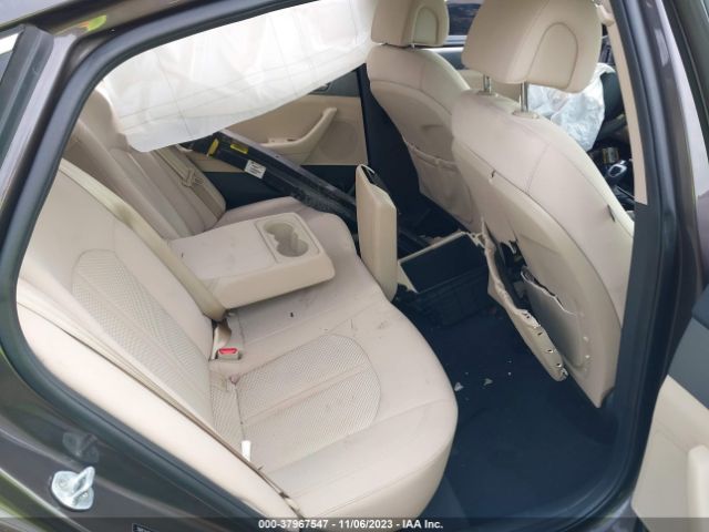 Photo 7 VIN: 5NPE24AF0HH517629 - HYUNDAI SONATA 