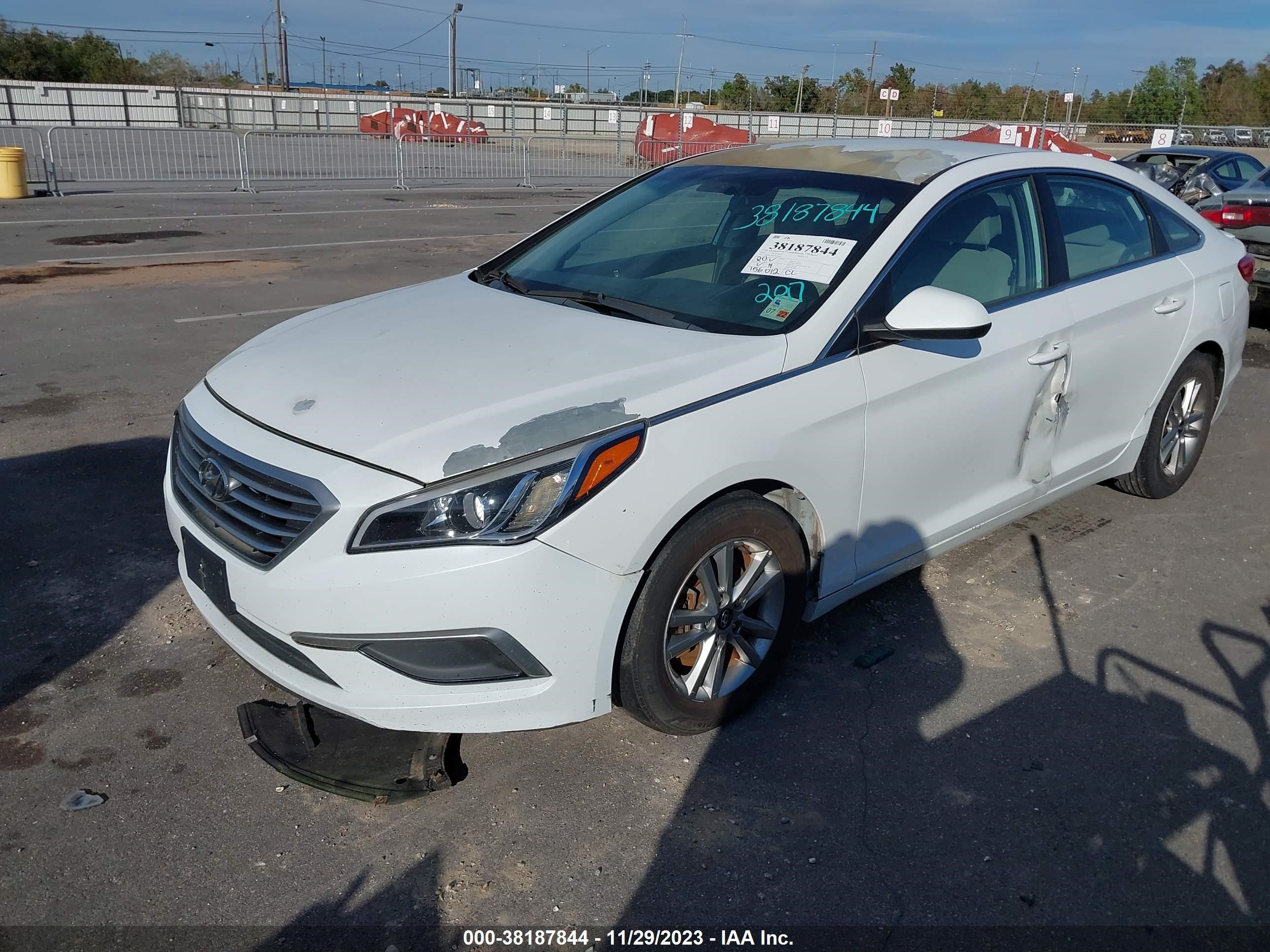 Photo 5 VIN: 5NPE24AF0HH520224 - HYUNDAI SONATA 