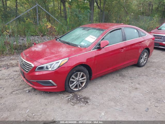 Photo 1 VIN: 5NPE24AF0HH526931 - HYUNDAI SONATA 