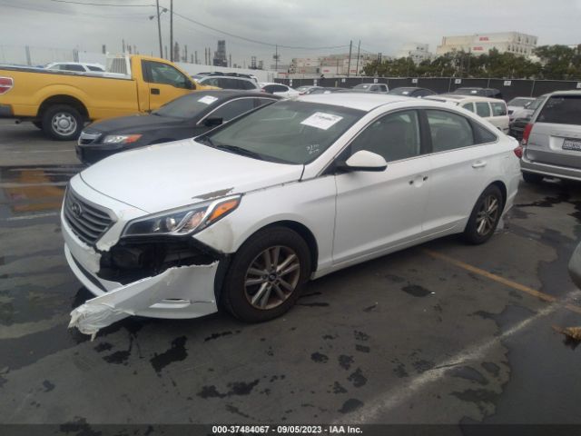 Photo 1 VIN: 5NPE24AF0HH527299 - HYUNDAI SONATA 