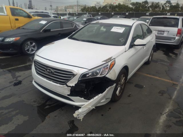 Photo 5 VIN: 5NPE24AF0HH527299 - HYUNDAI SONATA 