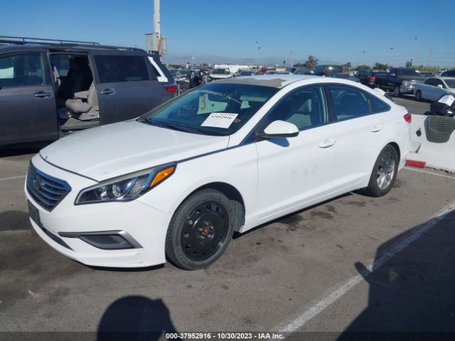 Photo 1 VIN: 5NPE24AF0HH527903 - HYUNDAI SONATA 