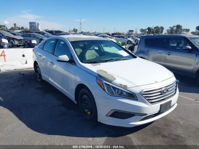 Photo 5 VIN: 5NPE24AF0HH527903 - HYUNDAI SONATA 