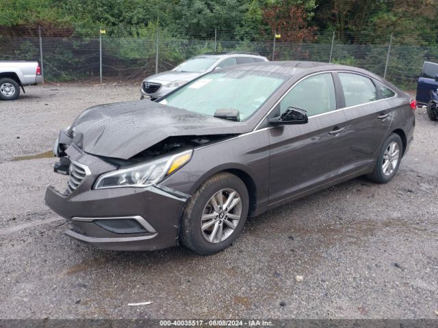 Photo 1 VIN: 5NPE24AF0HH528890 - HYUNDAI SONATA 