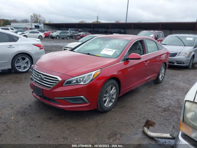 Photo 1 VIN: 5NPE24AF0HH532003 - HYUNDAI SONATA 