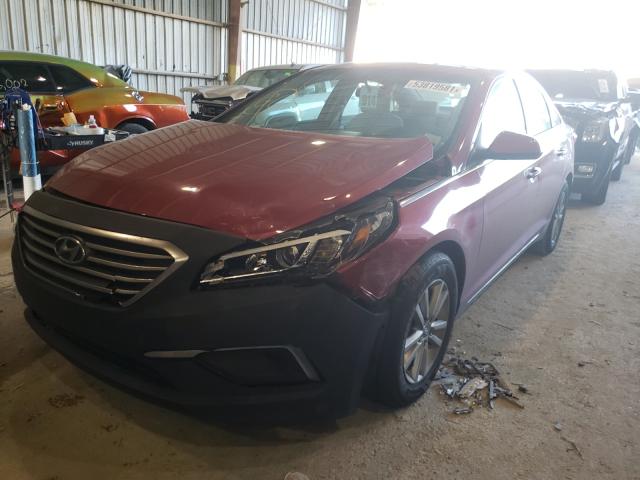 Photo 1 VIN: 5NPE24AF0HH546242 - HYUNDAI SONATA SE 