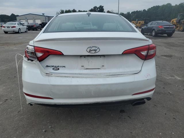 Photo 5 VIN: 5NPE24AF0HH556124 - HYUNDAI SONATA 