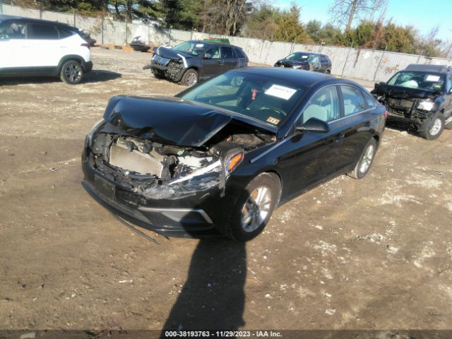 Photo 1 VIN: 5NPE24AF0HH590595 - HYUNDAI SONATA 