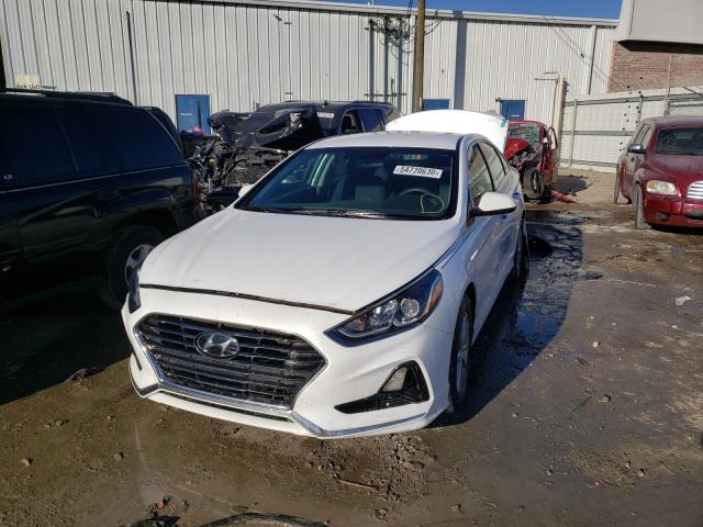 Photo 1 VIN: 5NPE24AF0JH600404 - HYUNDAI SONATA SE 