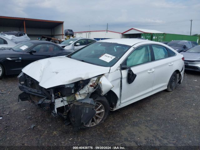 Photo 1 VIN: 5NPE24AF0JH602945 - HYUNDAI SONATA 