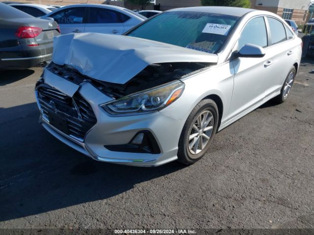 Photo 1 VIN: 5NPE24AF0JH681307 - HYUNDAI SONATA 