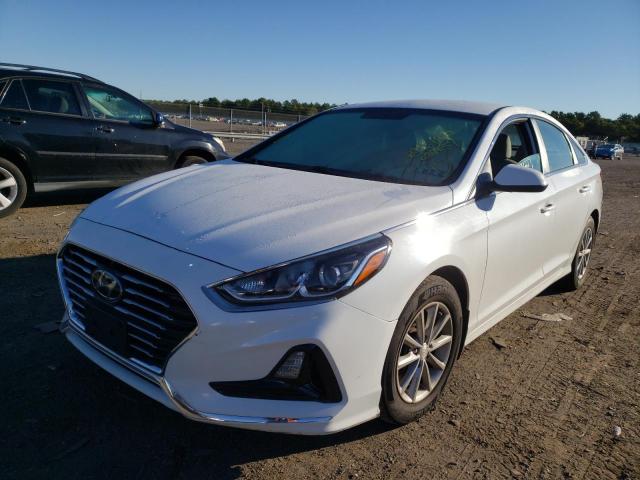 Photo 1 VIN: 5NPE24AF0JH684059 - HYUNDAI SONATA SE 