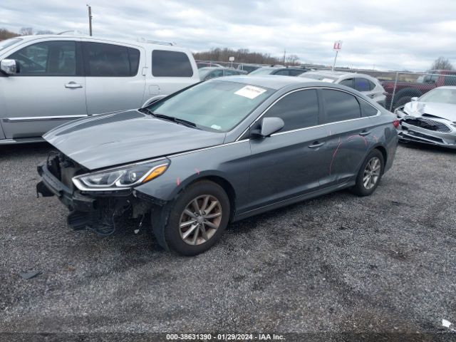 Photo 1 VIN: 5NPE24AF0JH696034 - HYUNDAI SONATA 