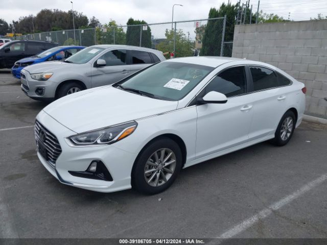 Photo 1 VIN: 5NPE24AF0JH704083 - HYUNDAI SONATA 